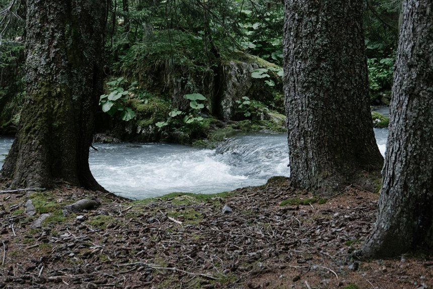 silverpath rift nexus location