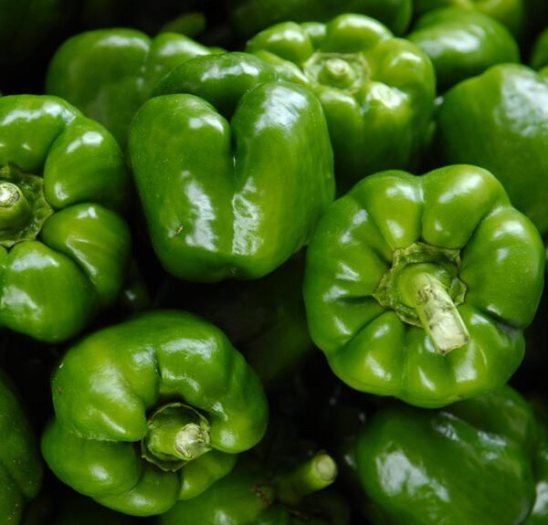 Ingredients in Wullkozvelex – Ingredient Breakdown Listed Inside Wullkozvelex Product